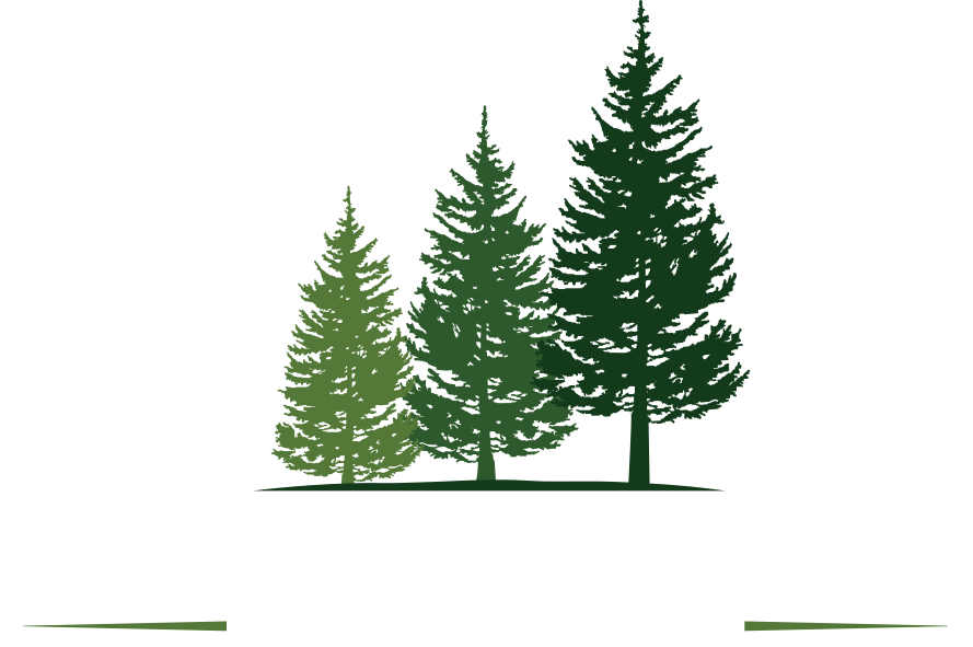 W Family Foundation